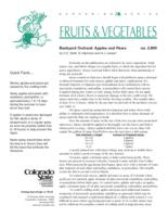 Backyard orchard : apples and pears
