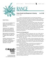 Grass growth and response to grazing