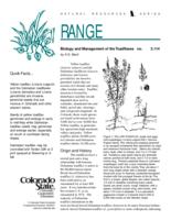 Biology and management of the toadflaxes