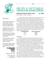 Backyard orchard : stone fruits