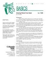 Growing plants from seed