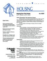 Buying your first home