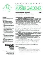 Diagnosing tree disorders