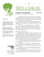 Douglas-fir tussock moths