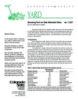 Growing turf on salt-affected sites