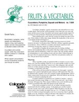 Cucumbers, pumpkins, squash, and melons