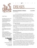 Bacterial diseases of beans