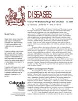Fusarium wilt & yellows of sugar beet & dry bean