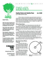 Healthy roots and healthy trees