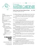 Cover crops and green manure crops