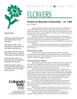 Flowers for mountain communities