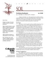Fertilizing sunflowers
