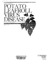 Current status of potato leafroll virus disease in the San Luis Valley