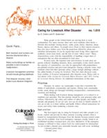 Caring for livestock after disaster