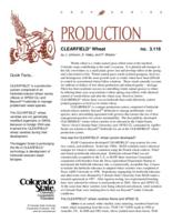 CLEARFIELD* wheat