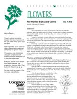 Fall-planted bulbs and corms