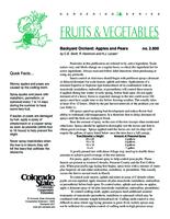 Backyard orchard : apples and pears