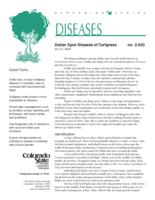 Dollar spot disease of turfgrass