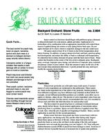 Backyard orchard : stone fruits