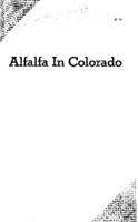 Alfalfa in Colorado