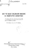 Key to some Colorado grasses in vegetative condition