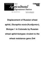 Displacement of Russian wheat aphid Diuraphis noxia, kurdjumov, biotype 1 in Colorado by Russian wheat aphid biotypes virulent to the wheat resistance gene Dn4