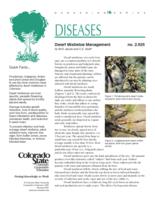 Dwarf mistletoe management
