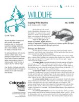 Coping with skunks