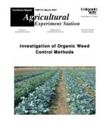 Investigation of organic weed control methods