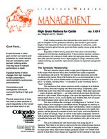 High grain rations for cattle