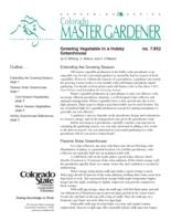 Growing vegetable in a hobby greenhouse
