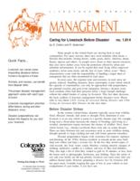 Caring for livestock before disaster