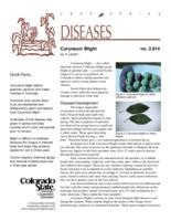 Coryneum blight