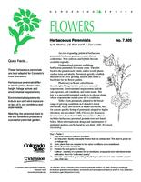 Herbaceous perennials