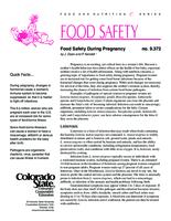 Food safety during pregnancy