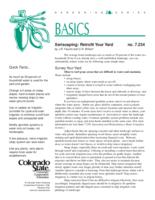 Xeriscaping : retrofit your yard