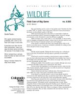 Field care of big game