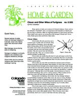 Clover and other mites of turfgrass