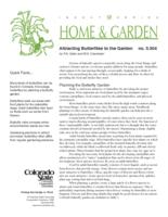 Attracting butterflies to the garden