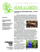 Hornworms and "hummingbird" moths