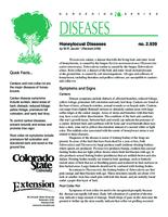 Honeylocust diseases
