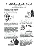 Drought-tolerant trees for Colorado landscapes