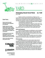 Xeriscaping : ground cover plants