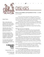 Botrytis diseases and purple blotch of onion