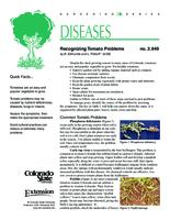 Recognizing tomato problems