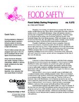 Food safety during pregnancy