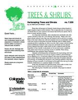 Xeriscaping : trees and shrubs