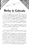 Barley in Colorado