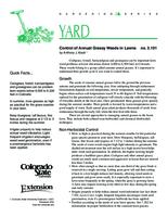 Control of annual grassy weeds in lawns