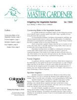 Irrigating the vegetable garden